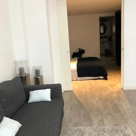 Victoria's House 3* Lille