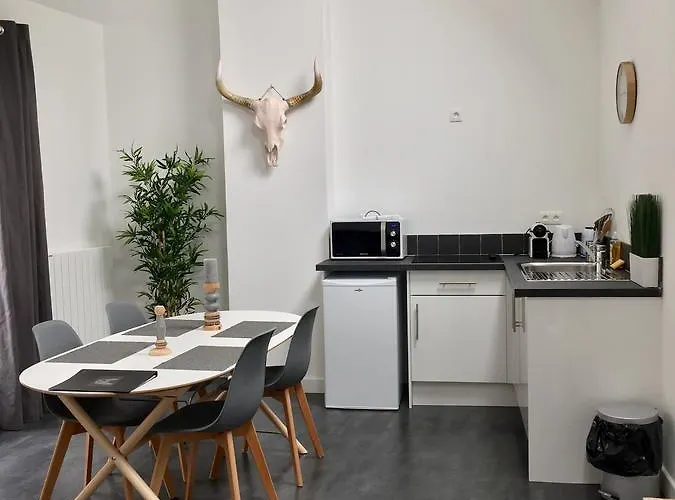 Victoria's House Lägenhetshotell Lille