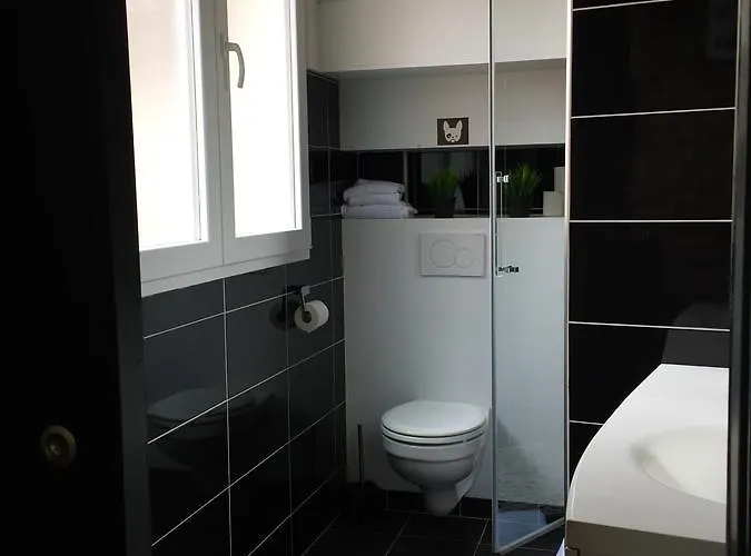 Lägenhetshotell Victoria's House Lille