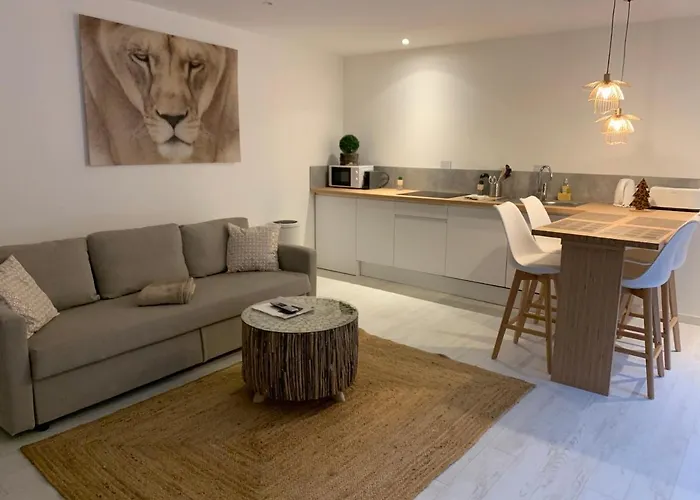 Lägenhetshotell Victoria's House Lille