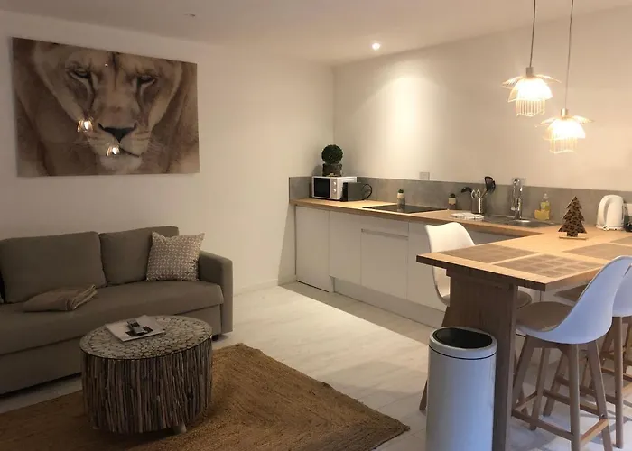 Victoria's House Lägenhetshotell Lille