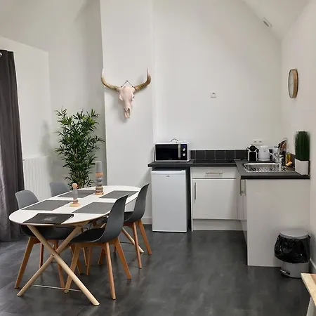 Victoria's House Aparthotel Lille