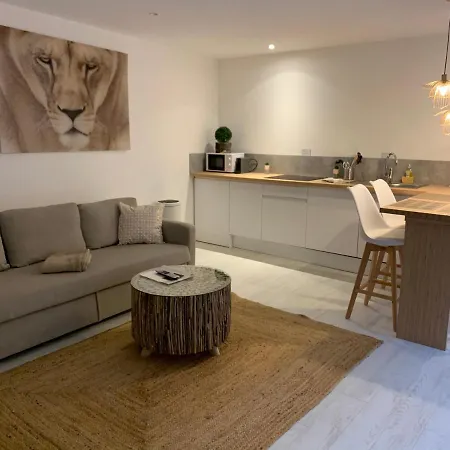 アパートホテル Victoria's House リール