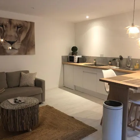 Victoria's House Aparthotel Lille